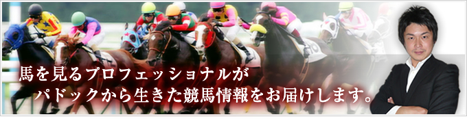 馬を見るプロフェッショナルがパドックから生きた競馬情報をお届けします。